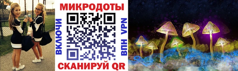 Псилоцибиновые грибы прущие грибы  Баксан 